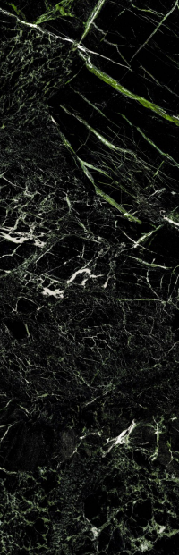 Marmo Forest