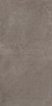 Daytona Gris