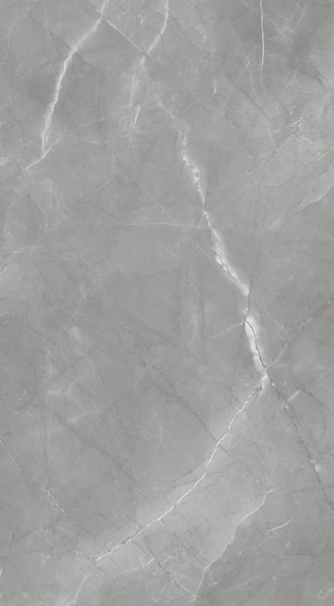Silver Armani