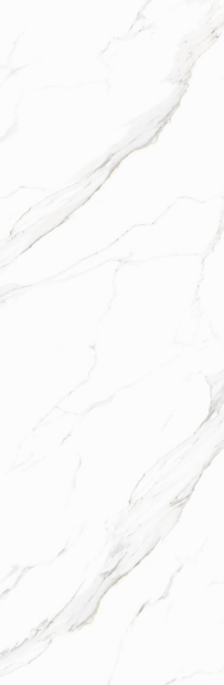 Calacatta White