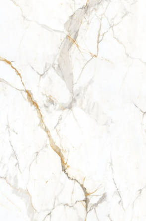 Asacia White