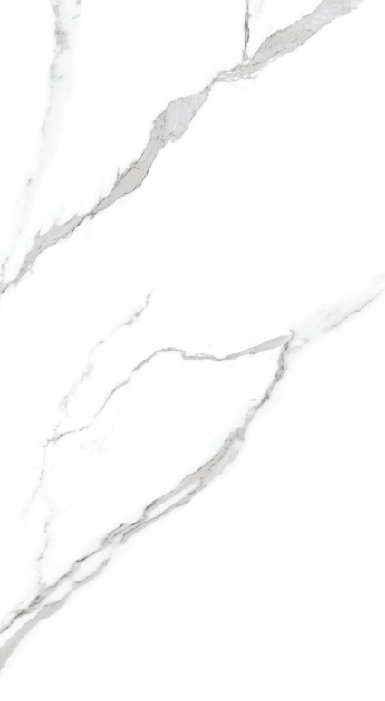 SAT Statuario Venom