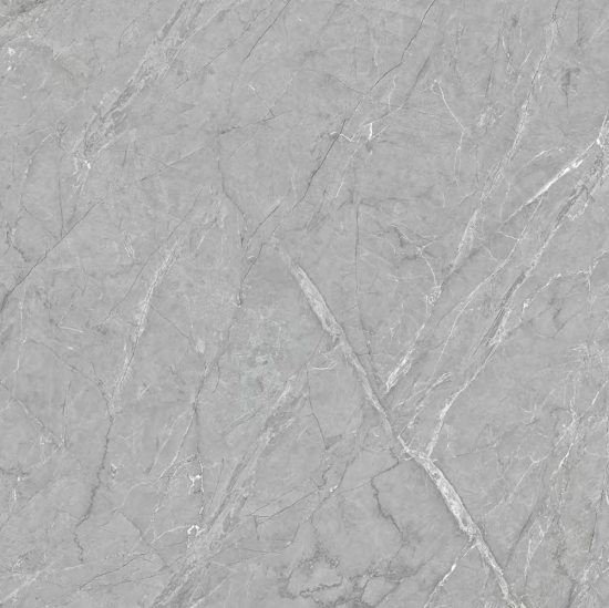 SAT Excid Grey