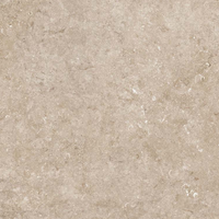 Close-up of a beige stone surface with a subtle texture